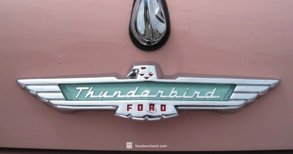 Fuse Box Guide - FuseBoxCheck