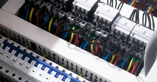 LS Swap Fuse Box - FuseBoxCheck