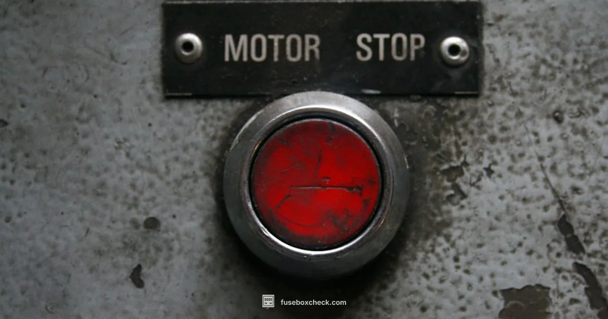 Fuse Block Holder - FuseBoxCheck