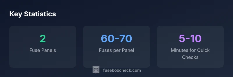 Infographic showing BMW E46 fuse box panels and fuse counts