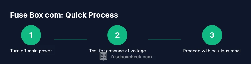 Infographic showing a 3-step process to safely handle a fuse box