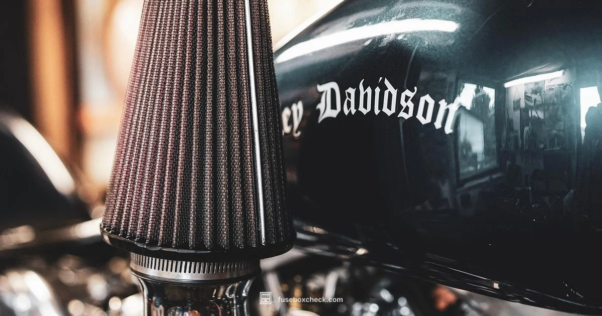 Harley Fuse Diagram - FuseBoxCheck