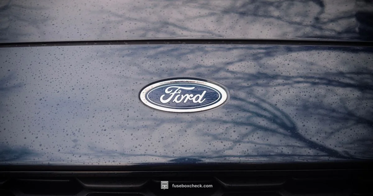 Fuse Box Layout Fuse Box Layout - FuseBoxCheck