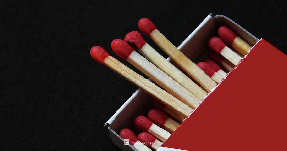 Fuse Box Burn Guide - FuseBoxCheck