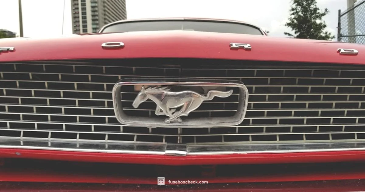 Fuse Box Scene Fuse Box Scene - FuseBoxCheck