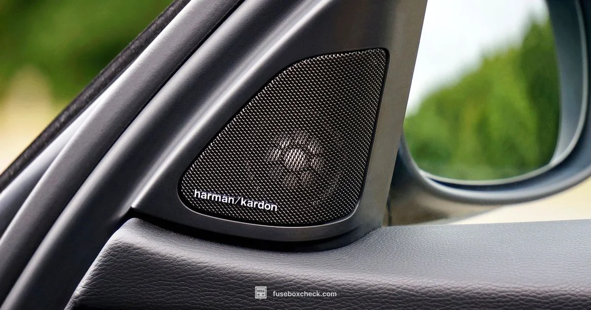 Car Audio Fuse Box - FuseBoxCheck