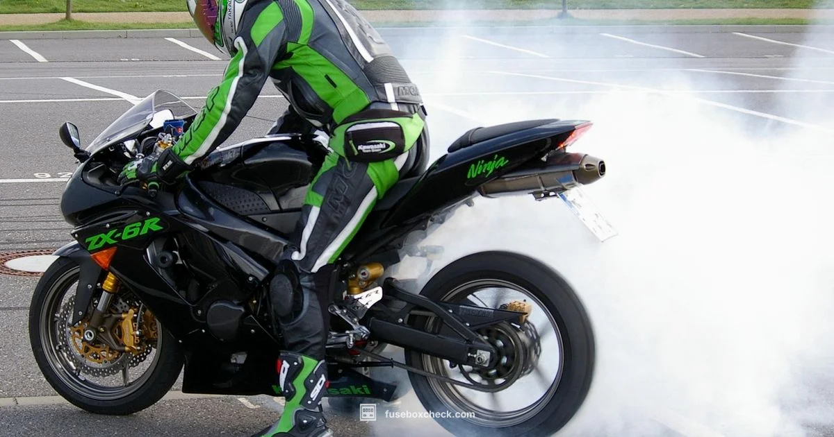 Fuse Box Essentials - FuseBoxCheck