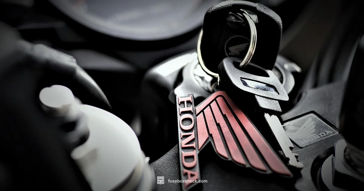 CR-V Fuse Box Map - FuseBoxCheck