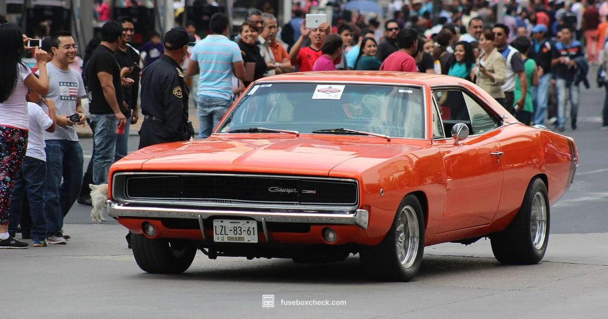 Fuse Box Layout - FuseBoxCheck