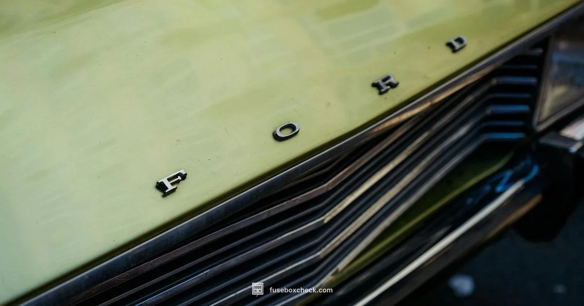 Expedition Fuse Box Expedition Fuse Box - FuseBoxCheck