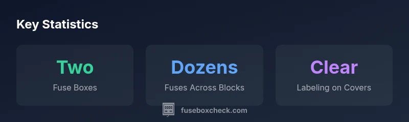 infographic showing two fuse blocks, dozens of fuses, and clear labeling