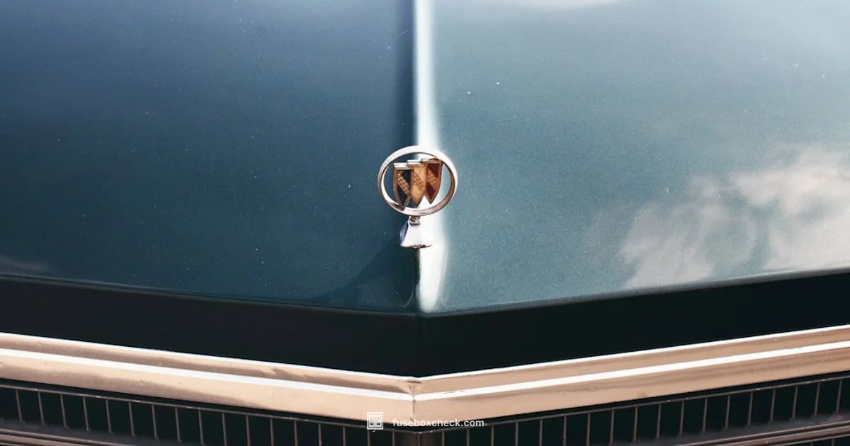 Lucerne Fuse Box Guide Lucerne Fuse Box Guide - FuseBoxCheck