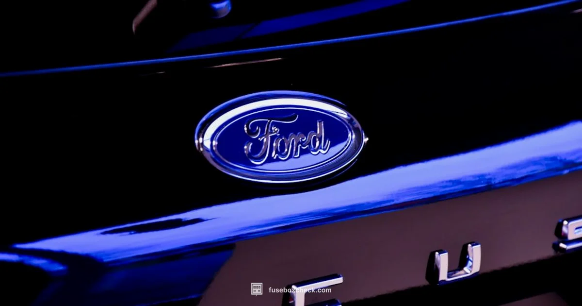 Fuse Box Guide 2010 - FuseBoxCheck