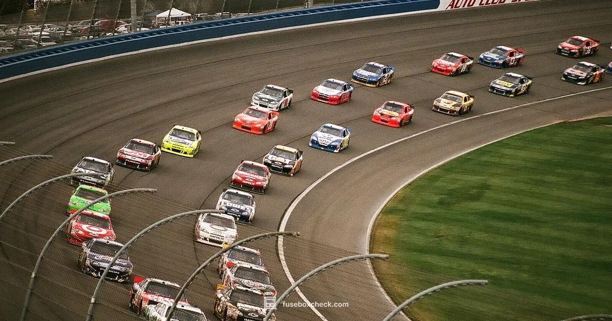 Car Fuse Box Guide - FuseBoxCheck