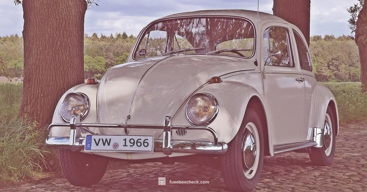 Beetle Fuse Upgrade - FuseBoxCheck