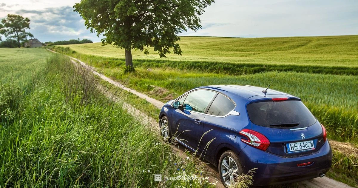 Peugeot 208 Fuse Box Diagram - FuseBoxCheck
