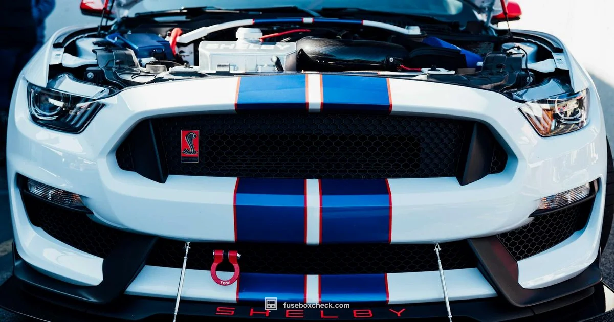 Fuse Box Diagram Fuse Box Diagram - FuseBoxCheck