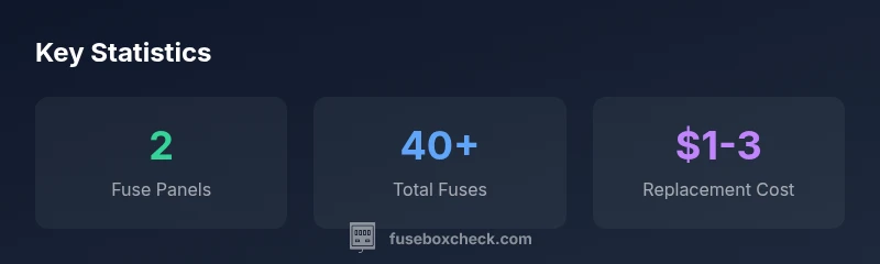 Infographic showing fuse box diagram statistics for 2006 Chrysler 300