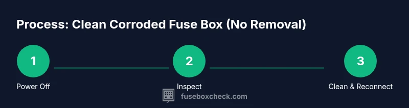 Process infographic showing steps to clean fuse box without removing