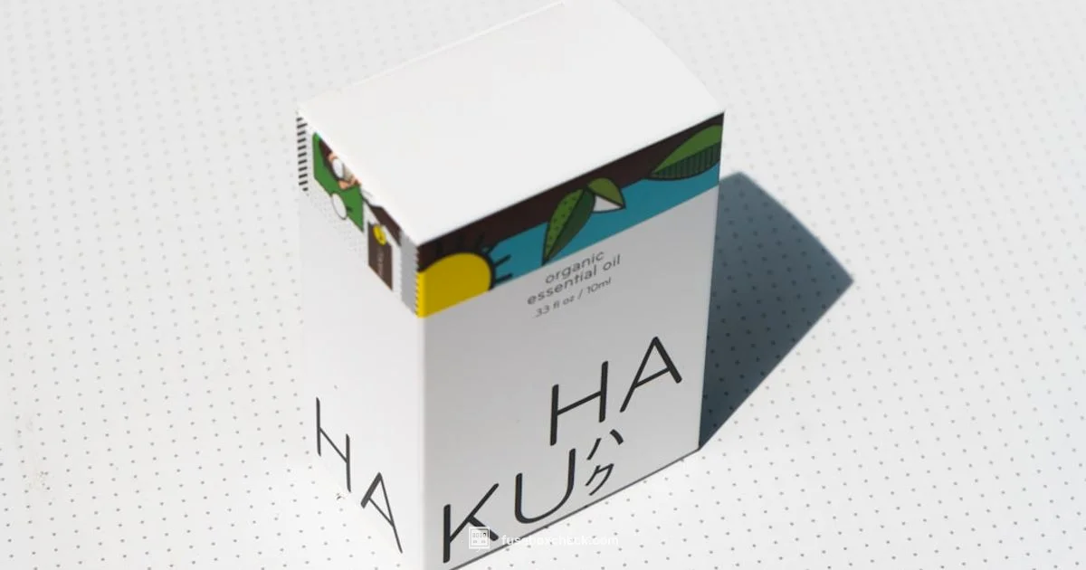 Type H Fuse Guide Type H Fuse Guide - FuseBoxCheck