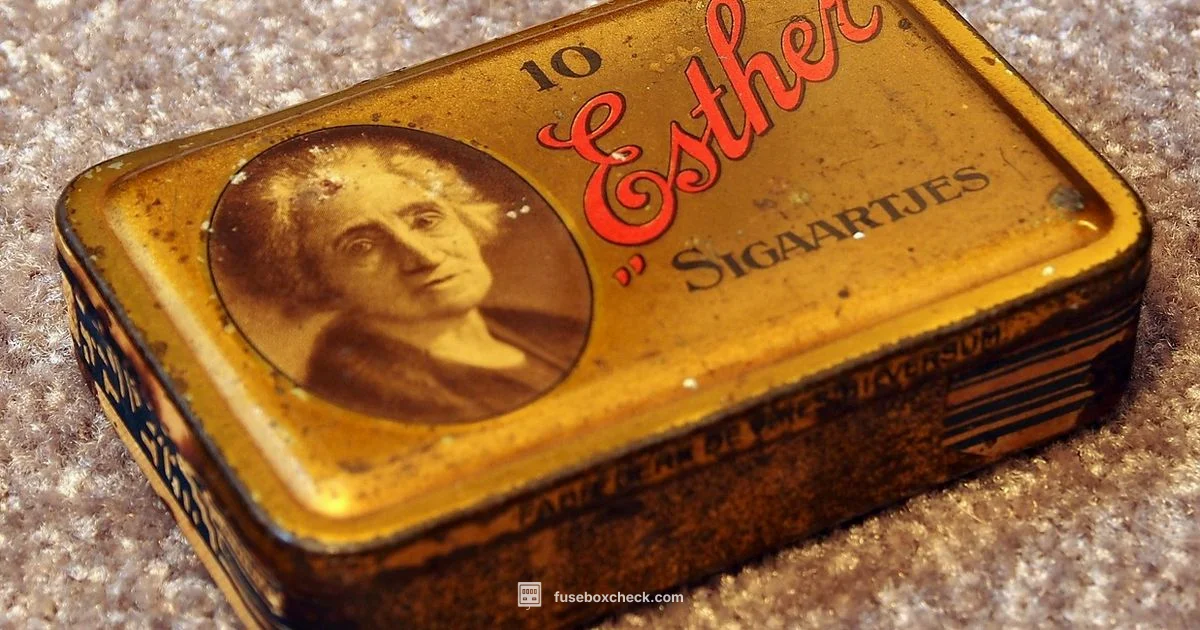 Fuse Box Essentials - FuseBoxCheck