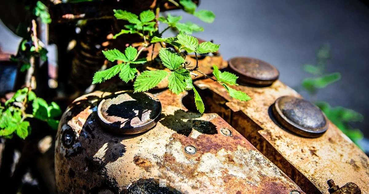 Corrosion in Fuse Box - FuseBoxCheck