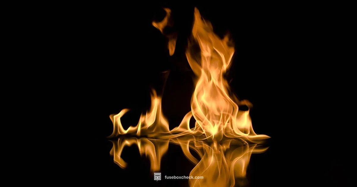 Fuse Box Heat - FuseBoxCheck