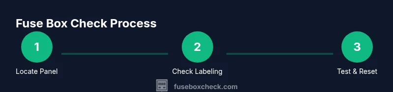 Process infographic for safely checking a fuse box at home