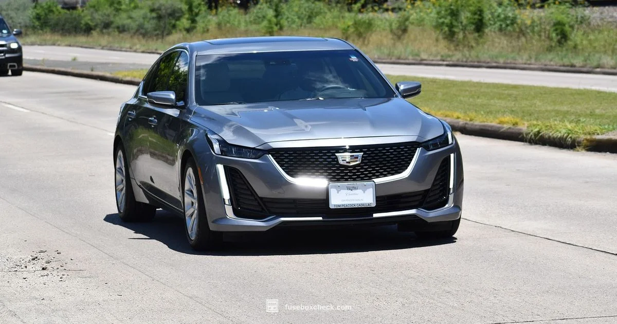 CTS Fuse Box Diagram - FuseBoxCheck